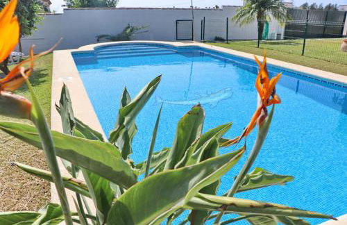 Bungalow Ramos - Foto 2