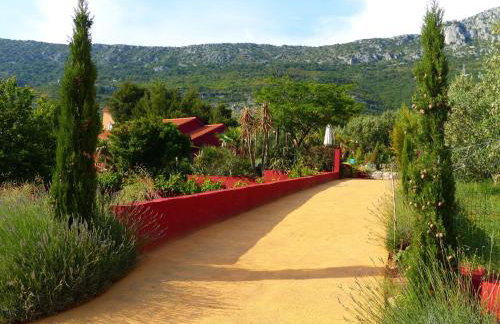 Villa Tropica, total privacy, tropical garden and private pool - Photo 66