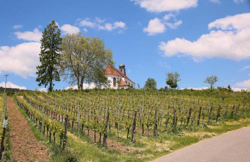 Ferienwohnung Gaby - im Weingut Doll - Foto 27