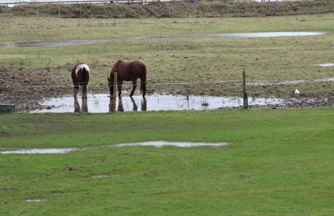 Sea View Cottage Lake District Coast, Haverigg - Foto 34