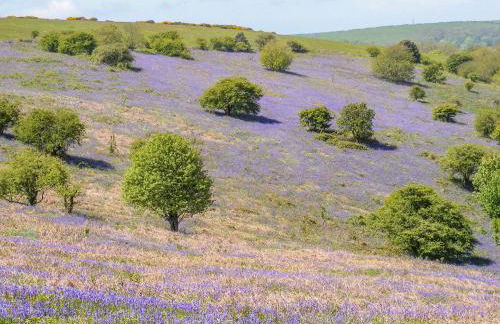Lisle Combe Cottage - Photo 39