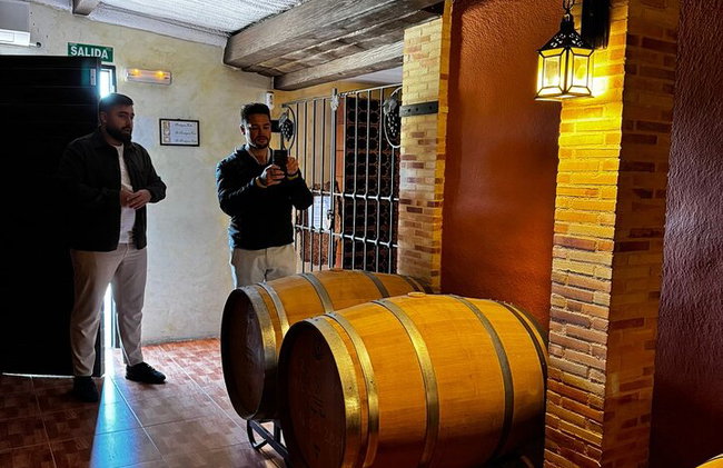 Alicante; Recorrido Vinícola Bodega Cata Vinos, Comida y Traslado - Foto 16