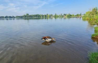 Ferienhaus am See-2 - Foto 43