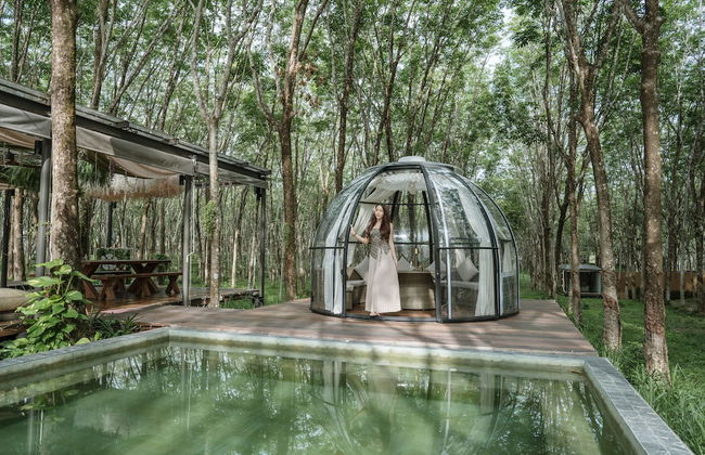 Timber Society Boutique Hideaway - Photo 18