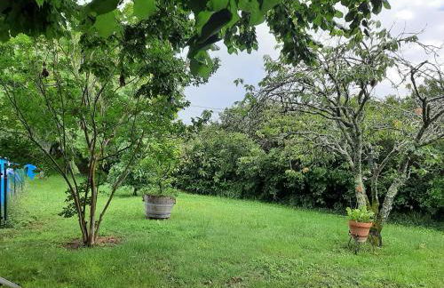 Gite du Château les Cedres - Foto 12