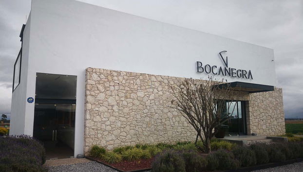 Cave à fromage Bocanegra