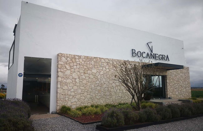 Dégustation de vin à la cave Freixenet + Dégustation de fromage à la cave Bocanegra - Photo 2