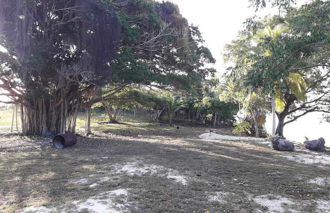 PARADISE CREEK COTTAGES - Foto 30