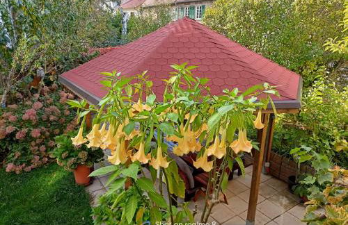 Urlaub mit Charme in der kleinsten Stadt der Pfalz. - Foto 42