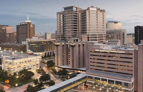 Tangerine 2Bed 2Bath at 5 min walk to NRG near TMC - Foto 17