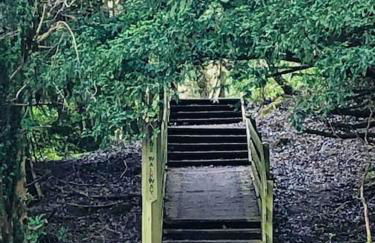 The Orchard Apartment, Clyde Valley - Foto 55