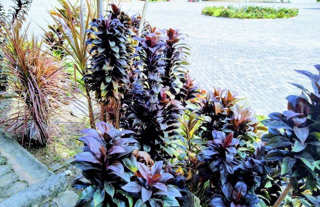 Room-renajoe Ejisu-kubease - Foto 34