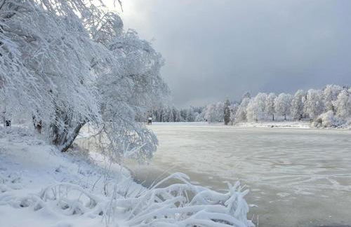 Apartment in Wildemann Near Hahnenklee Ski Area - Foto 61