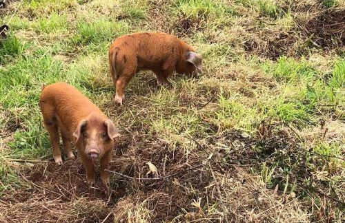 Light & Airy Vaulted Barn Conversion with a View - Photo 8