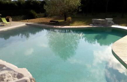 Domaine D'Erras -colibri - - Foto 19