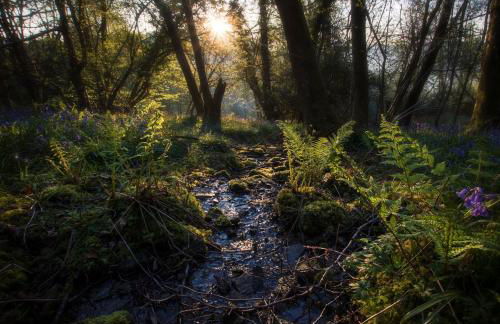 Secluded and self-contained Room with a View - Foto 22