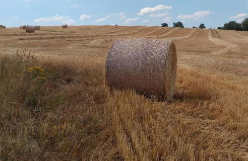 The Nook Cottage In The Heart Of Northumberland - Foto 31