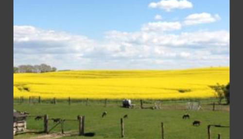 Ferien auf dem Bauernhof Nr. 101 - Foto 3