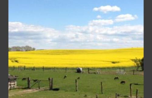 Fewo 13 Ferienwohnung Ziegenheim auf dem Bauernhof - Foto 8