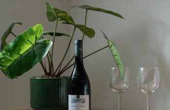 Le Jaune Girasol - Résidence Mariotte - Foto 9