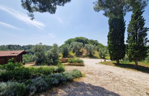 Agriturismo Ai Massi - Foto 16