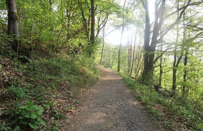 Ebenerdige Wohnung mit Terrasse in Winterberg - Foto 43