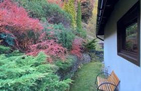 Mountain Cottage Lubomierz - Foto 41