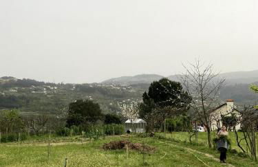 Quinta do Rio Douro - Turismo Rural - Foto 35