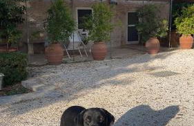 Masseria Lacatena - Foto 63