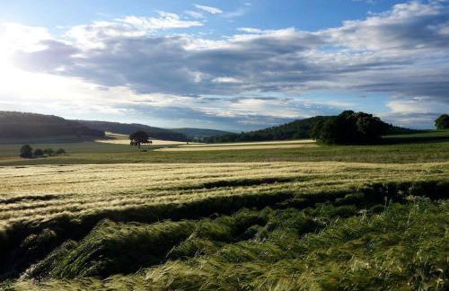 Ferienhaus Schäferhaus - Photo 19