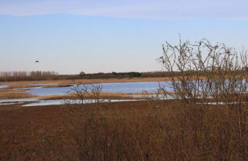 CASA VACANZE MARE - Foto 37