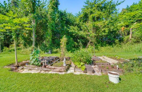 Keaau Apartment on Beautiful Acre with Pool and Deck! - Photo 32