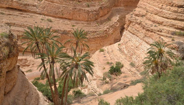 Excursão a Chebika, Tamerza e Midès - Foto 4