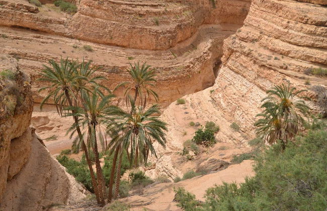 Tamerza, Chebika, & Midès Day Trip - Foto 4