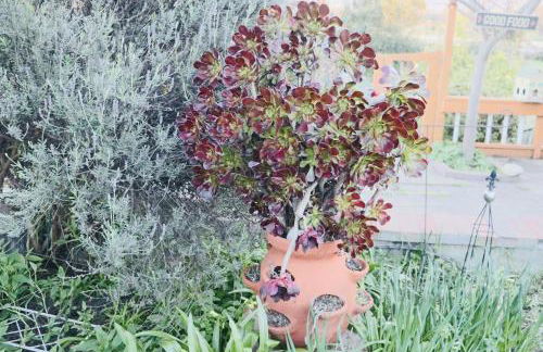 Monte Vista - Foto 13