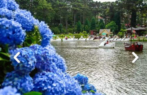 Flores da Montanha - Foto 57