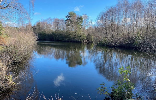 Cosy Homely Apartment Close to Lincoln City Centre - Foto 11