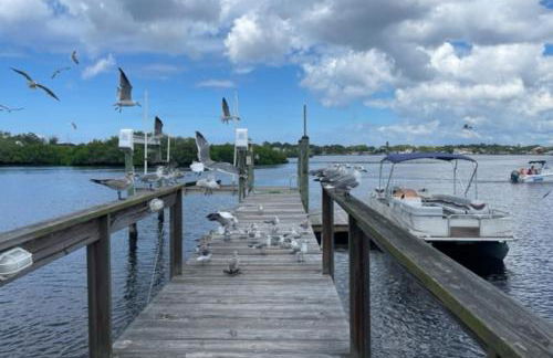 Blue Shores - Foto 42