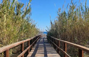 Blue Amber-Los Arenales del Sol-Alicante - Foto 58