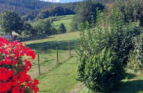 Bergfeldhof - Photo 12