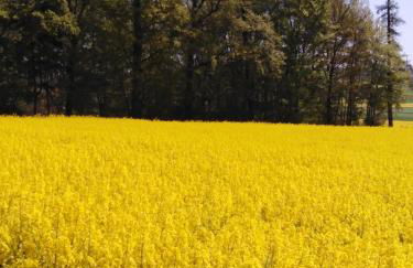 Ferienhaus Cilla - Foto 16