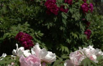 Altes Forsthaus - Foto 43