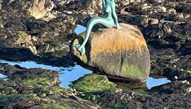 Cosy fisherman cottage in seaside village - Foto 2