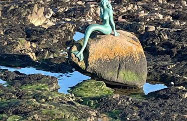 Cosy fisherman cottage in seaside village - Foto 2