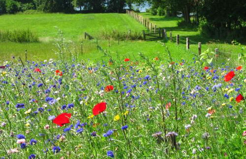 Hof Brooks - Foto 14