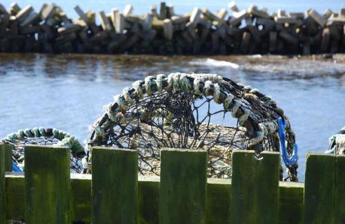 Camhanaich 'Half light of dawn' - Foto 25