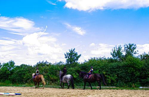 Staberhuk links - XL Ferienwohnung - Sonnendurchflutet - Terrasse - Foto 27