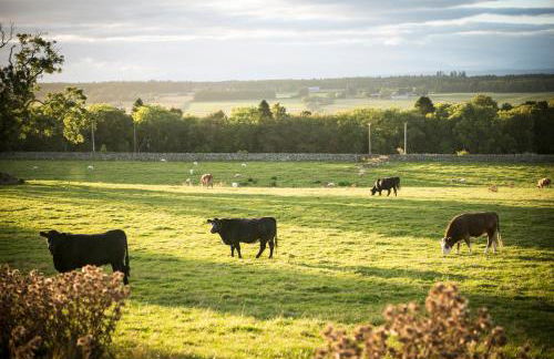 Blue Sky Lodges. Atlas & Aurae - Foto 7
