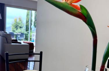 Sunset Dreams - Arco da Calheta - Foto 37