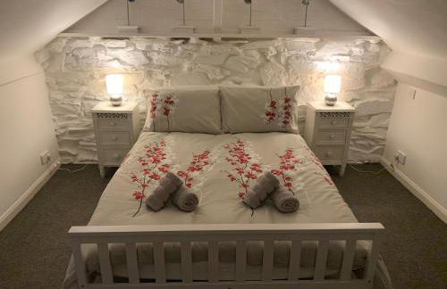 Cosy cottage in picturesque Snowdonia with stunning views of the Moelwyn mountains - Foto 14